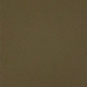 Meet your Posher, Omarion